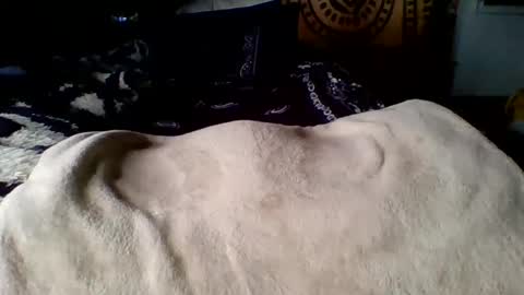 steviehard7 online show from March 2025 04:02:01 PM