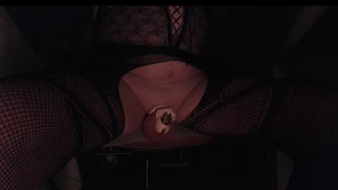 Snapshot of steviehello chatting on December 2024 10:30:02 PM Skye online show from December 2024 10:30:02 PM