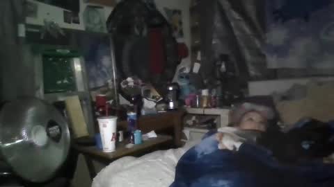 Snapshot of stitchsunshine85 chatting on February 2025 05:01:01 AM Tasha and Drew online show from February 2025 05:01:01 AM