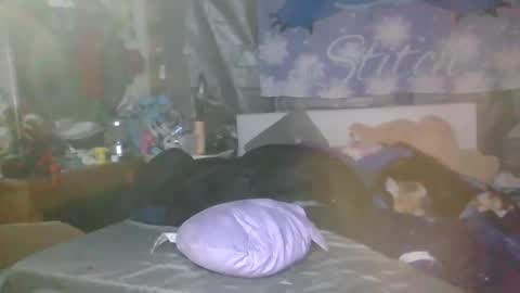 Snapshot of stitchsunshine85 chatting on March 2025 09:45:02 AM Tasha and Drew online show from March 2025 09:45:02 AM