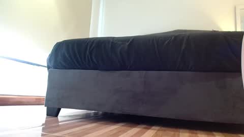 storm_hanks online show from January 2026 09:56:01 AM