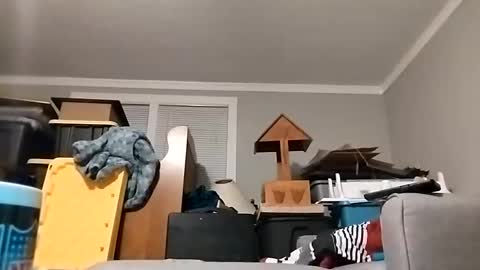 Streetwyze online show from October 2025 08:46:01 AM