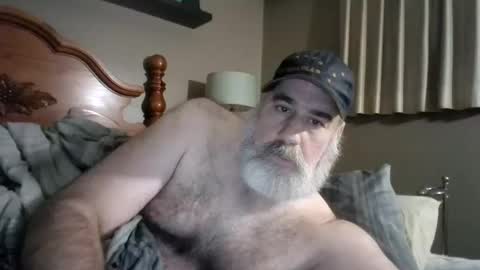 Snapshot of straightbear4you chatting on September 2025 10:31:02 AM Straightbear4you online show from September 2025 10:31:02 AM