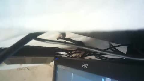 strangerdanger_2 online show from January 2026 11:35:01 AM