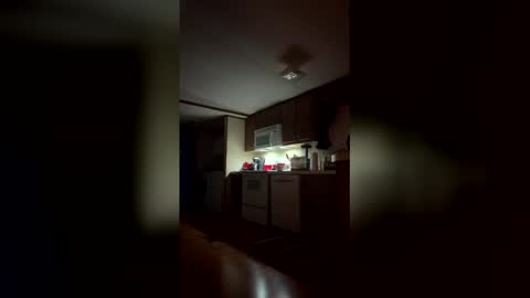 Snapshot of stringgreens777 chatting on January 2026 01:11:01 AM stringgreens777 online show from January 2026 01:11:01 AM