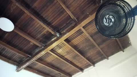 Alexa   online show from March 2026 11:05:01 AM