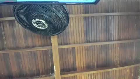 Alexa   online show from August 2026 10:36:01 AM