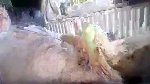 stud_1975 online show from July 2026 12:31:01 PM