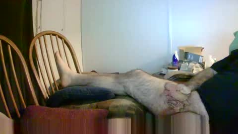 stugots42 online show from January 2025 03:11:02 AM