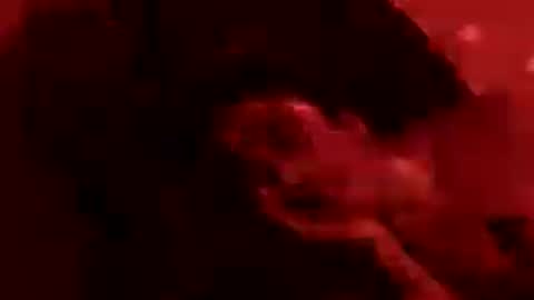 stupedlove77 online show from July 2026 01:56:01 AM