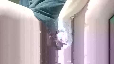 Snapshot of suesser0009 chatting on January 2025 02:25:01 AM Martin sweetboy online show from January 2025 02:25:01 AM