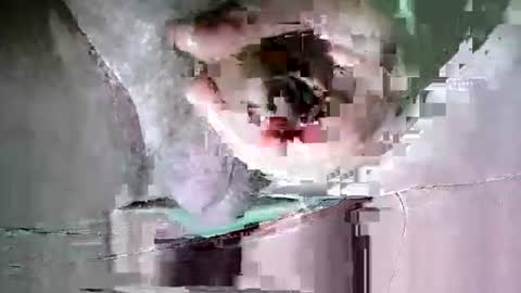 Snapshot of suesser0009 chatting on October 2025 11:38:01 PM Martin sweetboy online show from October 2025 11:38:01 PM