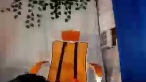sugar_hotxx online show from July 2026 12:19:01 PM