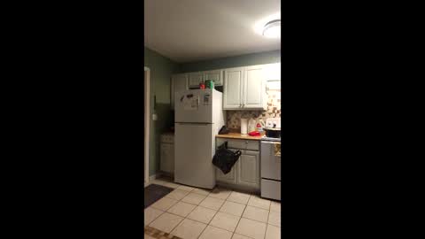 Sugarbotty31 online show from April 2026 02:51:02 AM