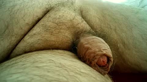 Snapshot of sugus56 chatting on October 2025 01:47:02 PM Samenspender online show from October 2025 01:47:02 PM