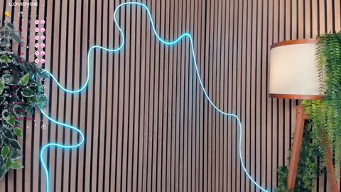 Nelly online show from January 2025 12:57:02 AM