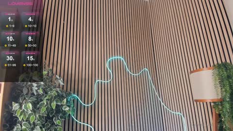 Nelly online show from February 2025 03:39:01 PM