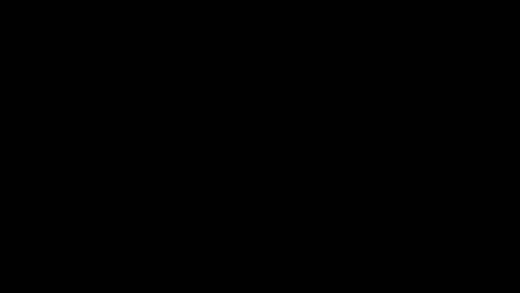 Summer online show from August 2026 04:28:01 AM