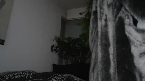 s online show from December 2024 07:59:02 PM