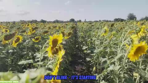 Tina. Im topless model  online show from September 2025 08:02:02 AM