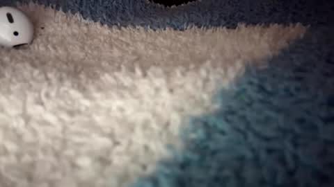 Snapshot of sunflowerxo chatting on September 2025 04:56:02 AM Sofie online show from September 2025 04:56:02 AM