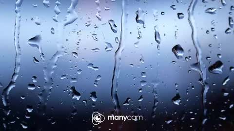 sven online show from February 2026 06:58:01 PM