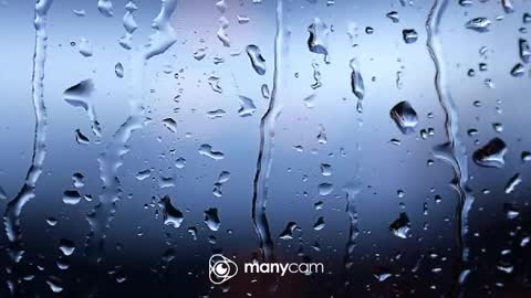 sven online show from February 2026 08:07:02 AM