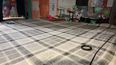 Stony online show from December 2024 10:07:01 AM