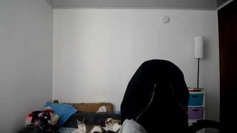Susana online show from July 2026 03:18:02 PM