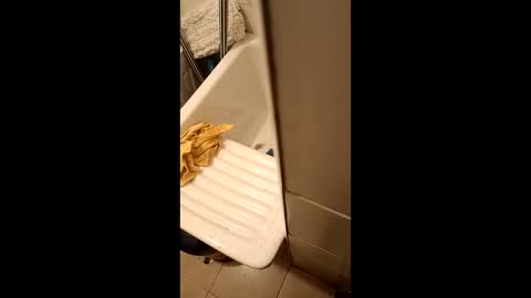 Snapshot of suso9092 chatting on March 2026 11:42:02 PM suso9092 online show from March 2026 11:42:02 PM