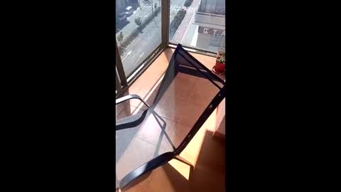 Snapshot of suso9092 chatting on March 2026 12:49:02 PM suso9092 online show from March 2026 12:49:02 PM