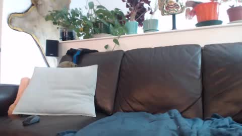 Snapshot of suv1 chatting on March 2025 10:42:01 PM Otto online show from March 2025 10:42:01 PM