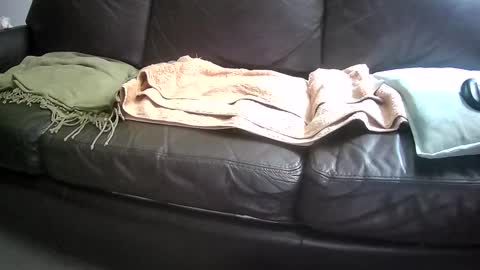 Snapshot of suv1 chatting on September 2025 03:53:01 AM Otto online show from September 2025 03:53:01 AM