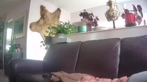 Snapshot of suv1 chatting on October 2025 09:56:01 PM Otto online show from October 2025 09:56:01 PM