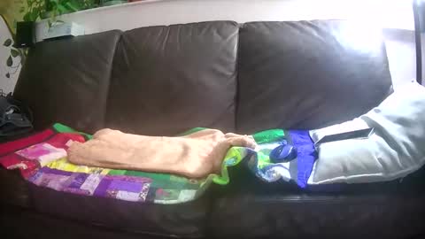 Snapshot of suv1 chatting on October 2025 04:29:02 AM Otto online show from October 2025 04:29:02 AM