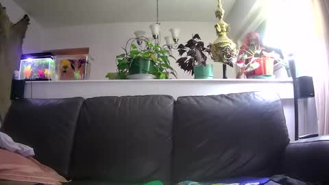 Snapshot of suv1 chatting on January 2026 05:33:01 AM Otto online show from January 2026 05:33:01 AM