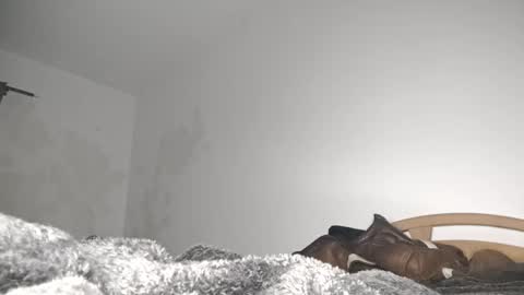 suzuki1250 online show from March 2026 09:06:02 AM