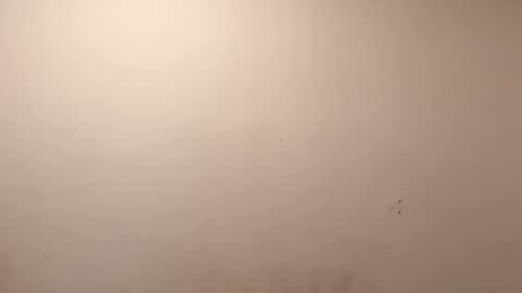 sweaterboy666 online show from March 2026 11:37:01 AM