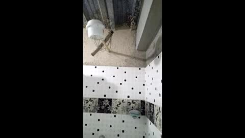 Nhaomy online show from December 2025 08:16:02 PM