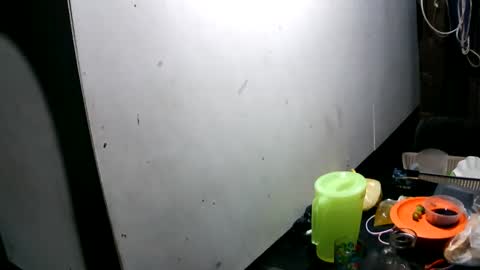 sweetaloha34 online show from February 2025 09:53:02 AM