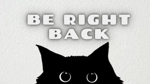       Independent model online show from December 2024 07:35:02 AM