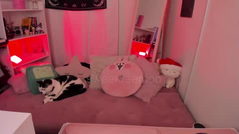 Vernica Help me to reach 80 likes thank you online show from December 2024 03:50:02 AM