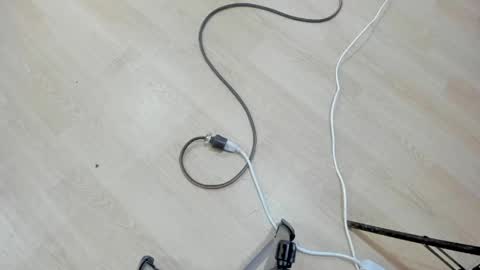 kata online show from April 2026 11:25:02 AM