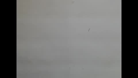 sweetnectarx online show from November 2025 04:40:01 PM