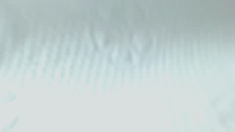 Snapshot of sweetnwildts chatting on May 2026 02:51:02 AM Ghena online show from May 2026 02:51:02 AM