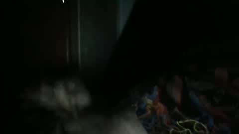 sweetpussylicks online show from February 2025 07:29:01 AM