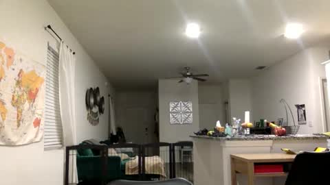 Snapshot of sweetriddance chatting on March 2026 11:34:02 AM sweetriddance online show from March 2026 11:34:02 AM