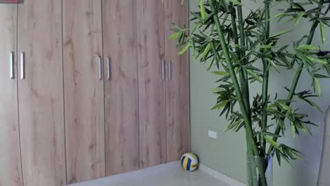    online show from January 2025 05:12:02 PM