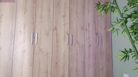    online show from January 2025 04:35:01 PM