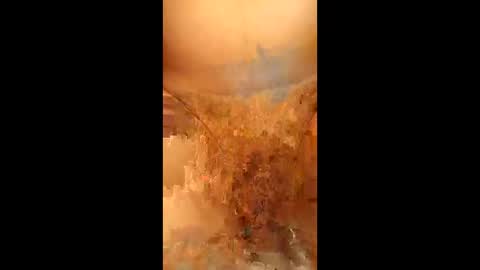 swiri123 online show from February 2026 11:11:01 AM